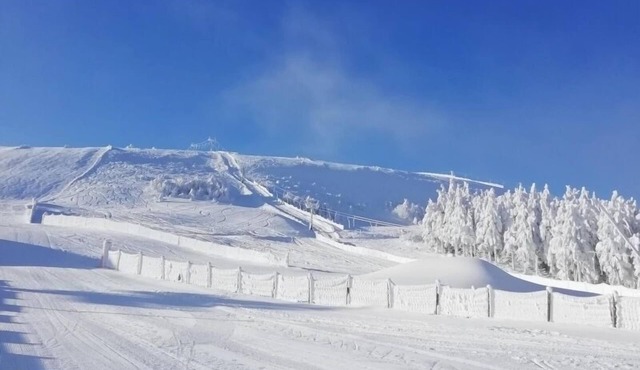 Maison de la forêt magique