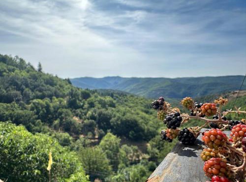 Maison de la Mûre, Haut-Languedoc Park