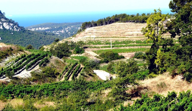 Maison de Maître à Bandol, Cakme et Confort 4