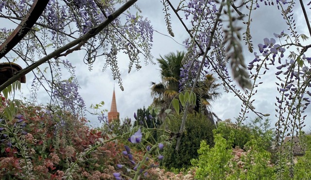 Maison de Maître en Campagne Toulousaine
