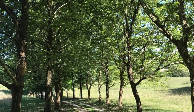 Maison de maître and unusual cottage in La Double