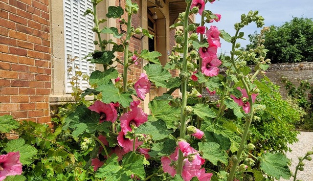 Maison de Maître, Grandes Surfaces Lumineuses, Beau Jardin et Parking 6 Voitures