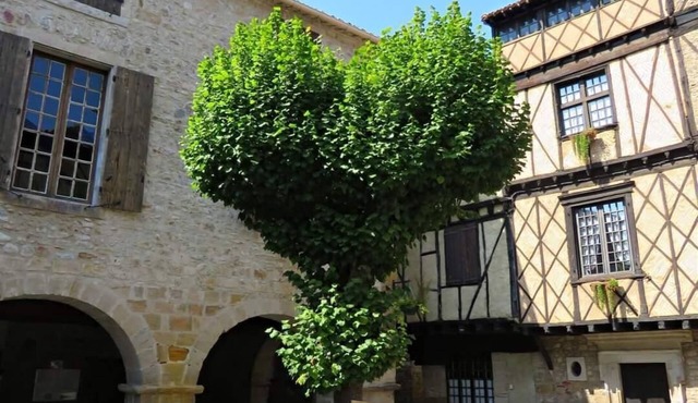 MAISON DE NOSTRADAMUS* OCCITANIE INSOLITE