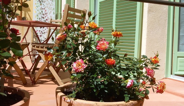 Maison de Pêcheurs au Cœur du Cros de Cagnes