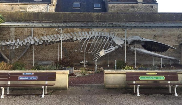 Maison de Pêcheur à 30metres de la Plage