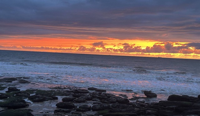 Maison de Pêcheur Rénovée, Jardin Clos, Plain Pied, 100m Plage, Animaux Acceptés