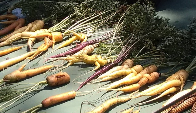 Maison de Table d Hotes a Côté de la Ferme