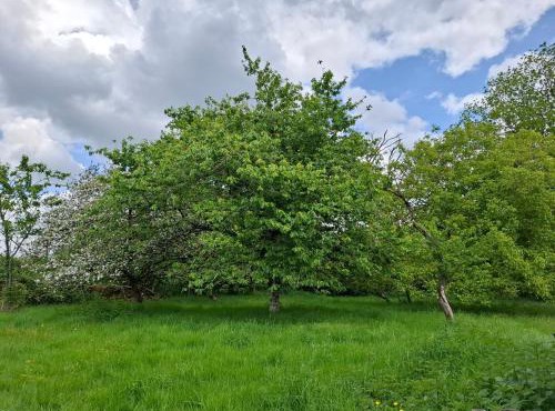 Maison de vacances à la campagne