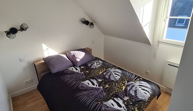 Maison de Vacances à Saint-nic à 700m de la Plage Animaux de Compagnie Acceptés!