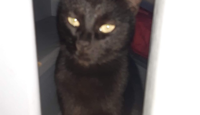 Maison de Village Proche Lyon, Pérouges, Parc Industriel de la Plaine de L'ain