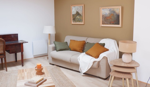 Maison de Ville au Coeur du Parc Naturel Régional de la Brenne