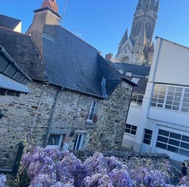 Maison de ville- quartier calme