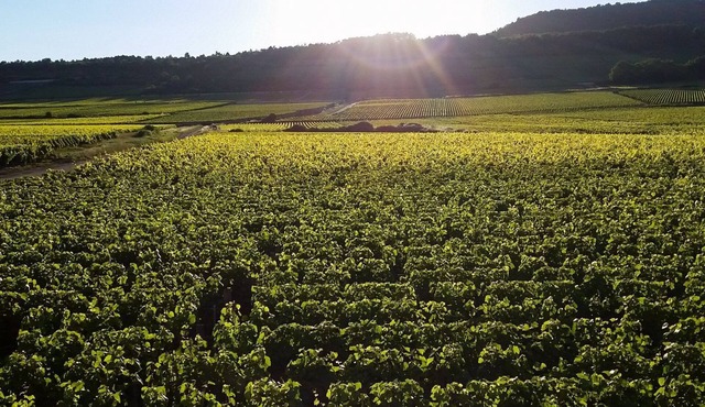 Maison des Grands Crus