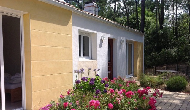 Maison des Mûres, large house, sunny terrace, enclosed grounds.