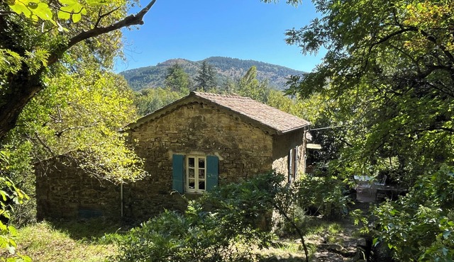 Maison des Marcassins at the edge of the woods