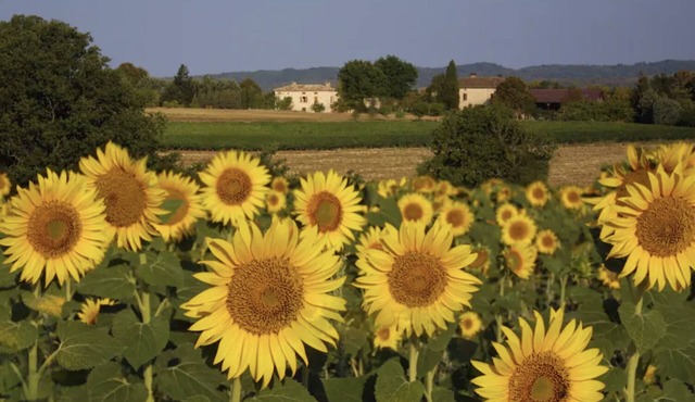 Maison Elise, Southern France Country Home