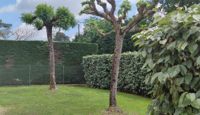 Maison en Campagne Landaise