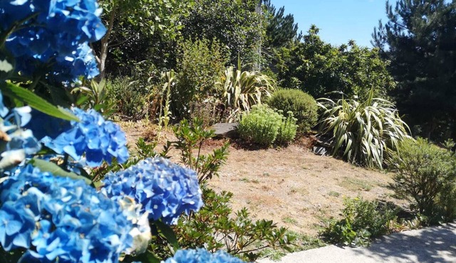 Maison en Pierre D'ardoise, sur Flanc de Collines et Près des Sentiers de Nature