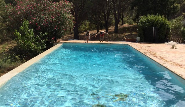 MAISON EN PLEINE NATURE AVEC PISCINE