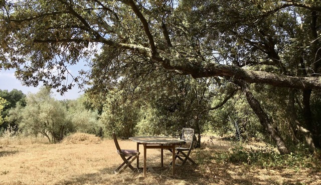 Maison en Pleine Campagne, Ultra Confort, Proche Saint-guilhem et Salagou