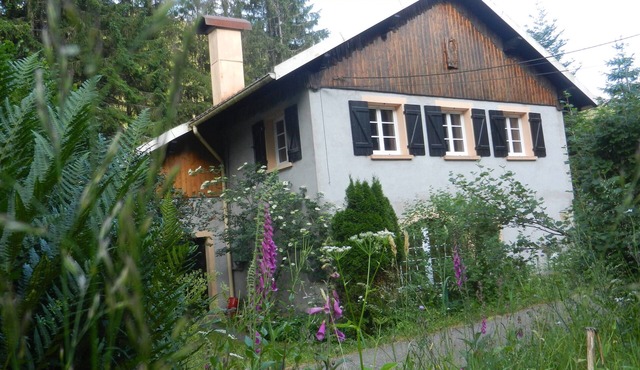 Maison en Pleine Nature 6km de Gérardmer