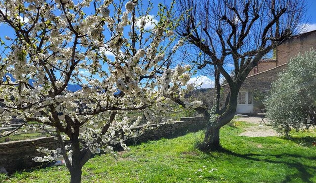 Maison en Provence Avec Jardin Arboré et vue sur le Mont Ventoux