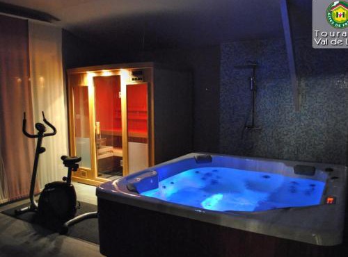 Maison en Touraine avec Spa et Sauna, proche Châteaux de la Loire - FR-1-381-473