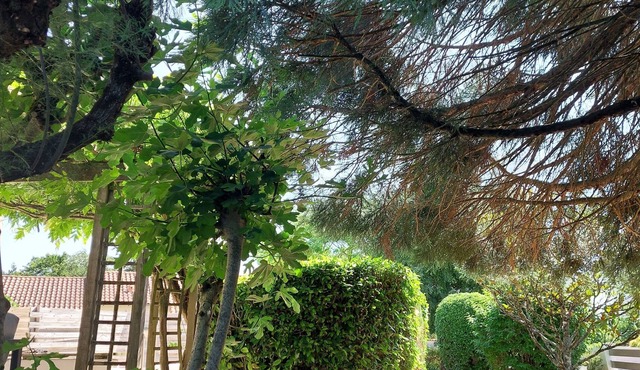 Maison Entre Nature et Futuroscope