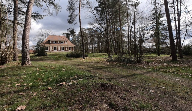 Maison et Parc Arboré à Louer Dans la Sologne des Rivières