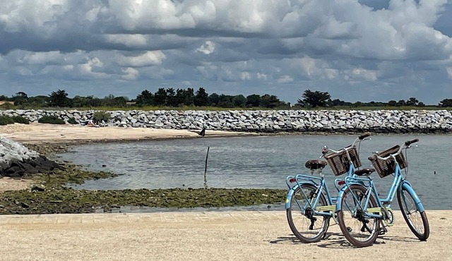 Maison Familiale et Chaleureuse aux Portes en Ré