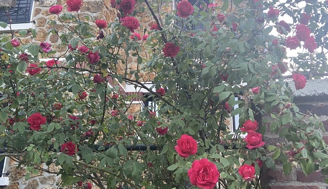 Maison de Ville de Charme. A 10 min du Château de Versailles !