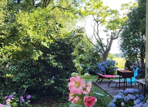 Maison gîte tranquille et nature.