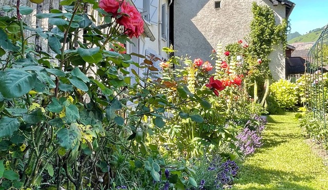 Maison Hirondelle - a charming village home with a peaceful garden