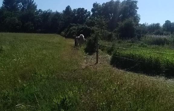 Maison individuelle 5 couchages dans Ferme Equestre