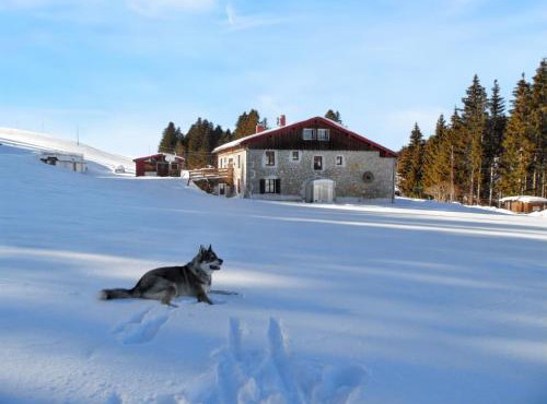 Maison isolée et calme à Septmoncel avec vue sur montagne