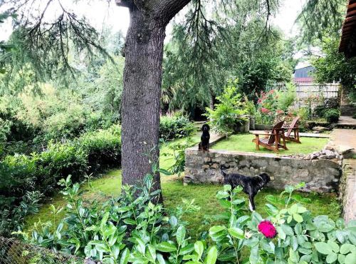 Maison l'or du temps, chambres d'hôtes