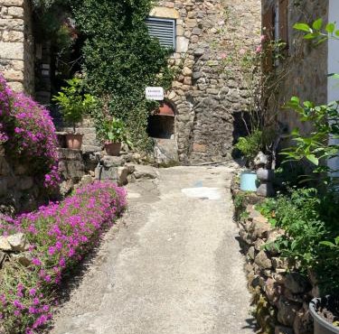 Maison Le Chastelard Saint Maurice en Chalencon