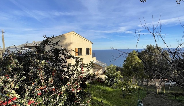 Maison Mitoyenne en Balcon sur la Mer, à 15 Minutes de Bastia, Animaux Acceptés