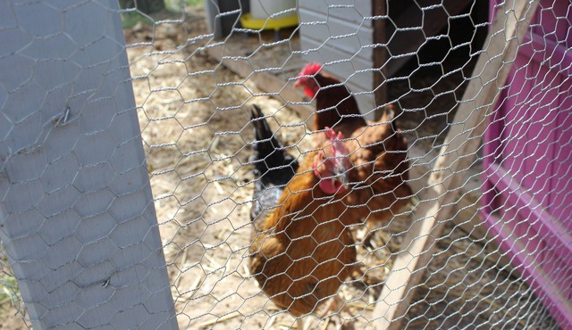 Maison Mitoyenne Sans Vis-à-vis