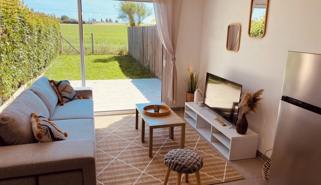 Maison Moderne Avec Jardin