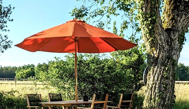 Maison MOZ Studio Terrasse Pour un Séjour Intime Entre Chambord et Cheverny