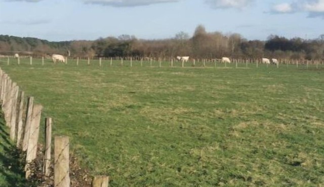 Maison Neuve au Calme à 2 pas du Mans et des 24h