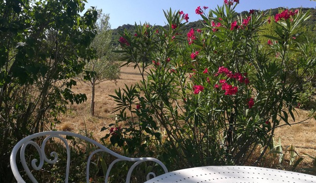 Maison Nichée au Cœur de la Garrigue