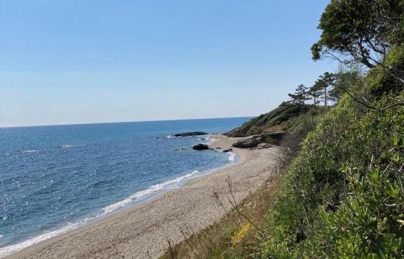Maison pieds dans l eau avec piscine et clim