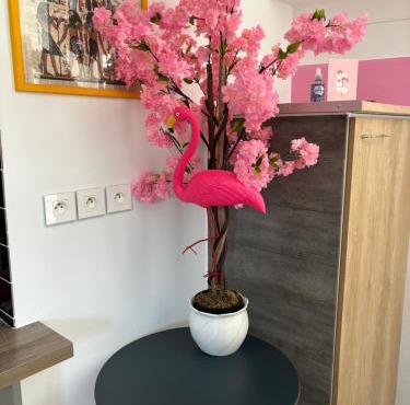 maison pink flamingo aeroport tillé 2 a 4 personnes