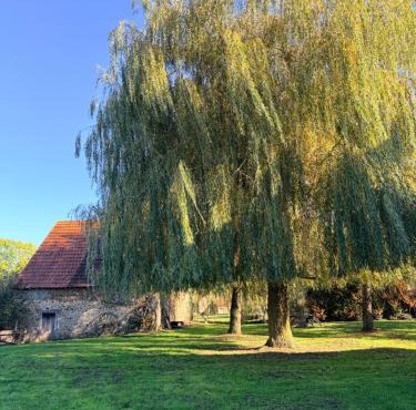 Maison pittoresque et cozy