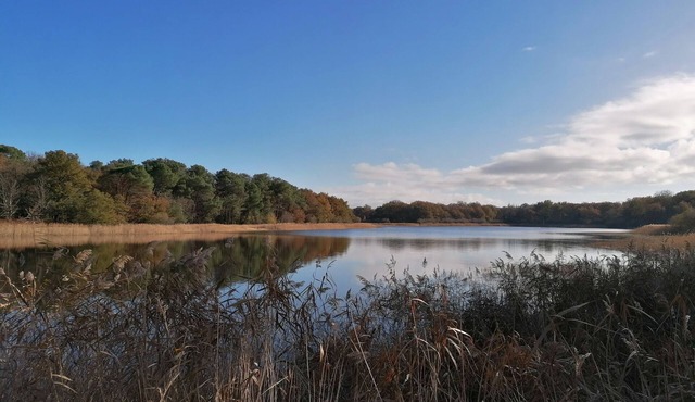 Maison Rénovée aux Portes de la Brenne