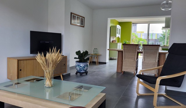 Maison Remise à Neuf, Jardin, Terrasse. Proche Centre Lille