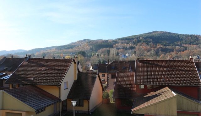 Maison Rurale En Bordure De Forêt