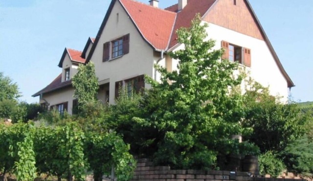 Maison Située Dans le Vignoble, Appartement à L'étage Avec Entrée Indépendante